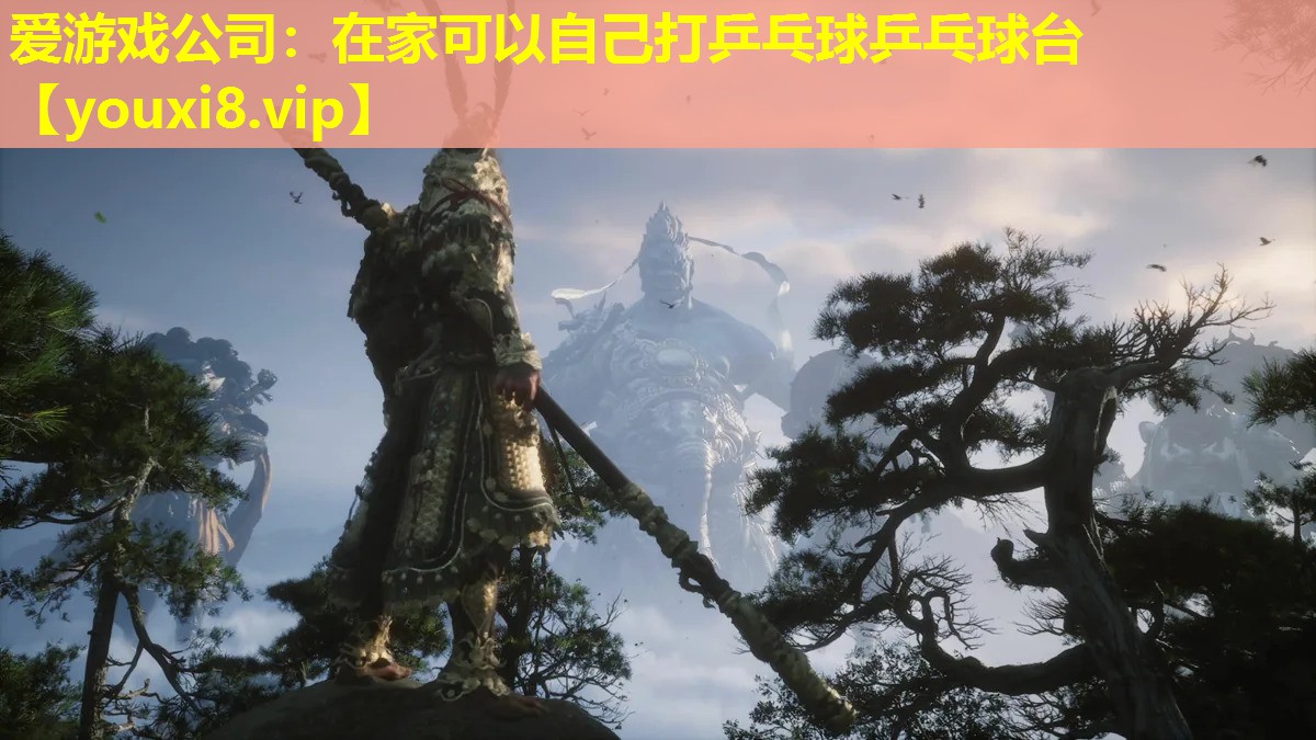 在家可以自己打乒乓球乒乓球臺 在家可以自己打乒乓球乒乓球臺