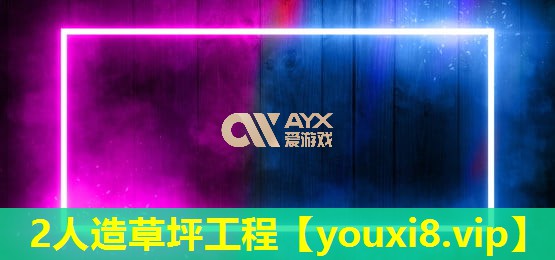 2人造草坪工程 2人造草坪工程