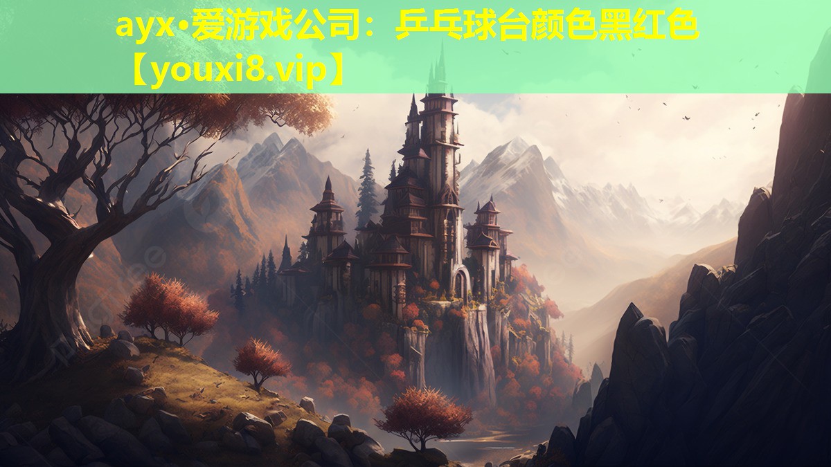 乒乓球臺顏色黑紅色 乒乓球臺顏色黑紅色
